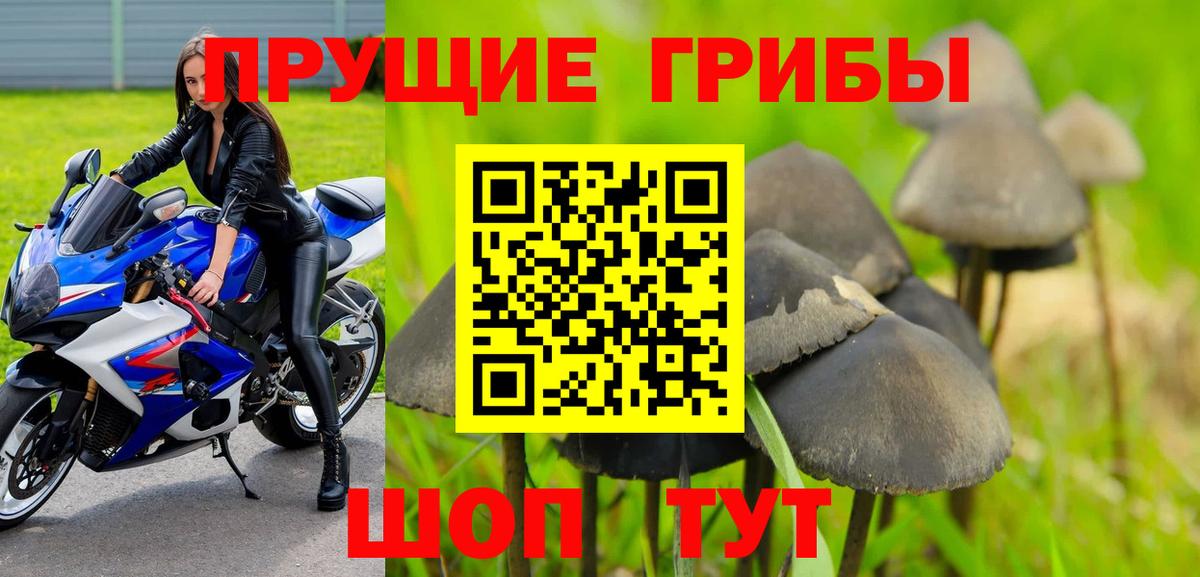 Галлюциногенные грибы Cubensis Сокол