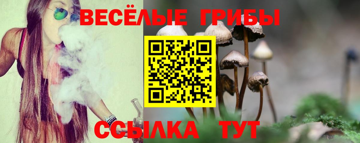 Галлюциногенные грибы мицелий  Вход с VPN  Сокол 